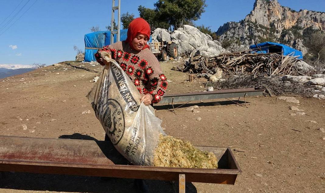 Diplomasını sandığa kaldırdı, dağlara çıktı! 2